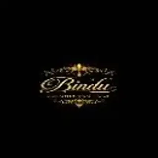 Bindu Boutique official logo