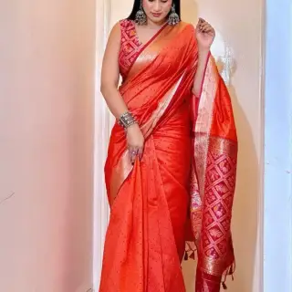 Designer sarees image 9