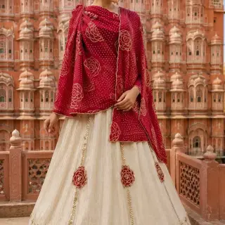 Navratri special lehanga image 3
